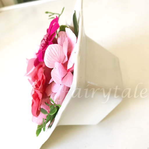 �N���A�i�v���U�[�u�h�t�����[�j