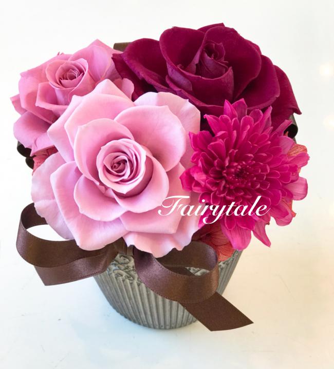 �v���U�[�u�h�t�����[�i�p�[�����E���h�j