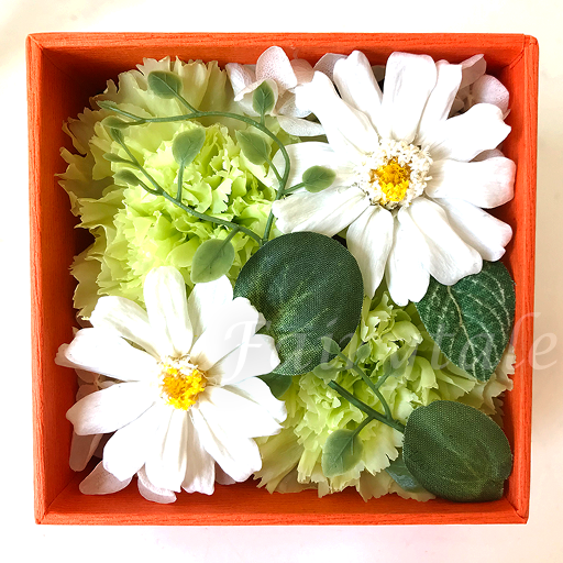 �t�����[�{�b�N�X�i�I�����W�j